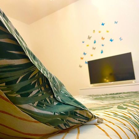 몬타냐냐 Ca' Del Sole - Attico Panoramico In Centro Storico 아파트 외부 사진